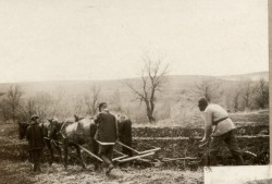 Фотография. Пахота в Ставропольской психиатрической колонии. 1930-е гг. Из фотоальбома главного врача А.Я. Доршта 1939 г.